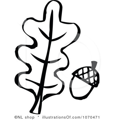 Oak Leaf Clipart Black And White   Clipart Panda   Free Clipart Images