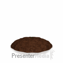 Plant Growing Powerpoint Animation