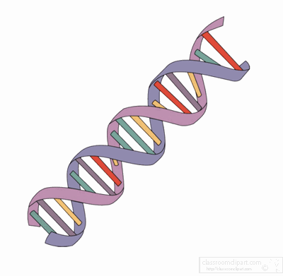 Science Animated Clipart  Dna Strands Animated   Classroom Clipart