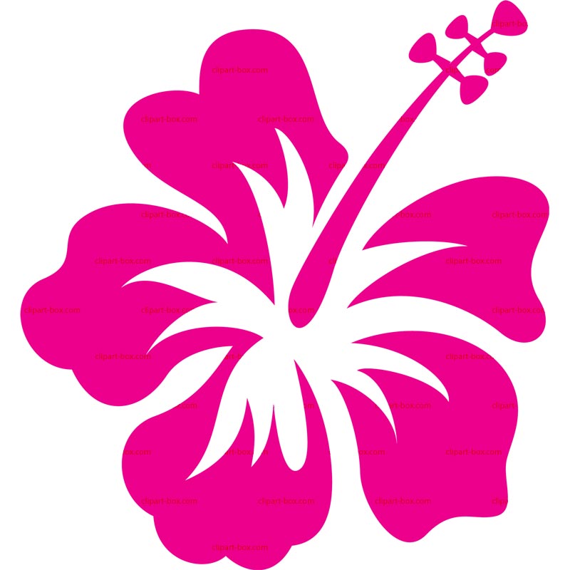 Clipart Hibiscus   Royalty Free Vector Design