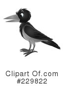 Cute Crow Clipart