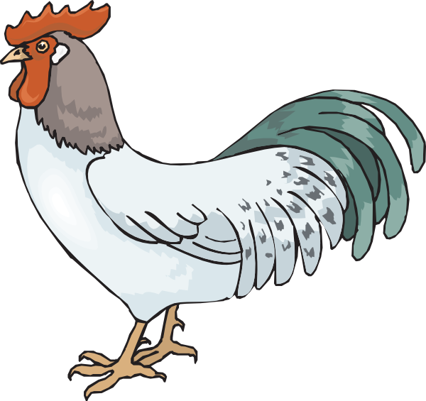 Farm Rooster Clip Art At Clker Com   Vector Clip Art Online Royalty