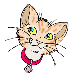 Felines   Info And Online Games