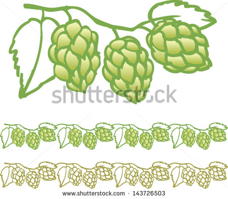 Go Back   Gallery For   Hop Cones Clipart