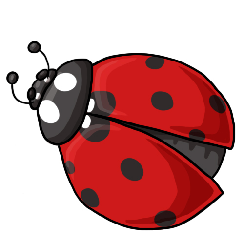 Ladybug Clip Art 9