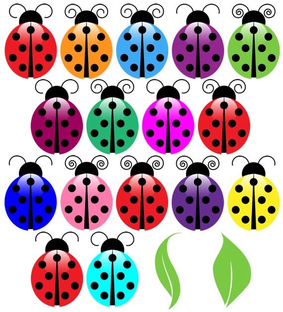 Ladybugs Clip Art Clipart Ladybug Clip Art Clipart   Commercial And    