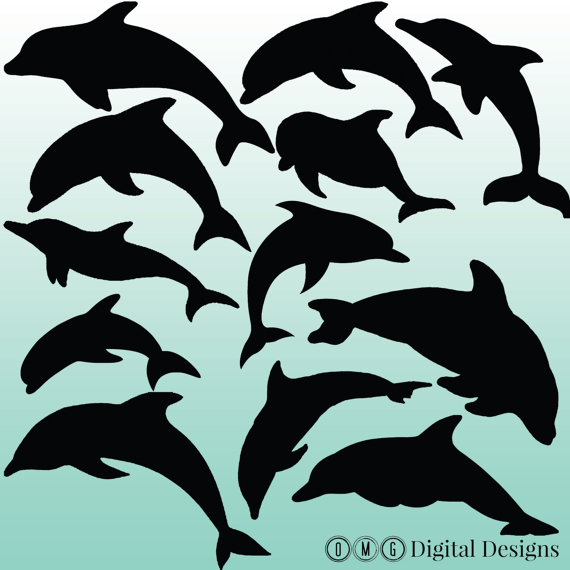 12 Dolphin Silhouette Digital Clipart Images Clipart Design Elements    