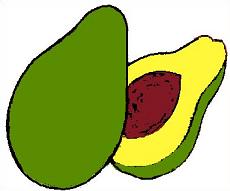     An Avocado Is A Fruit That Grows On An Avocado Tree The Avocado Fruit