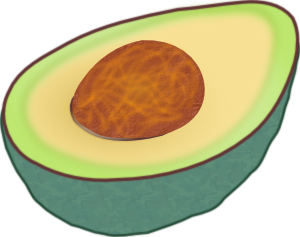 Avocado Tree Clipart Images   Pictures   Becuo