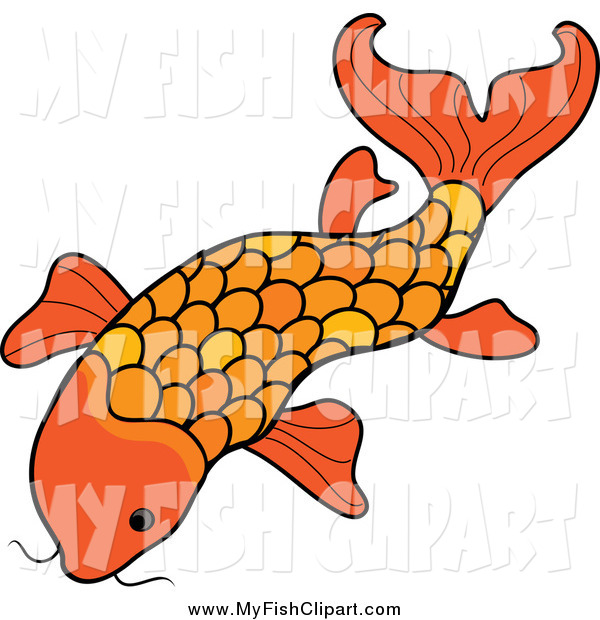 Clip Art Of A Orange Koi Fish By Pams Clipart    1218