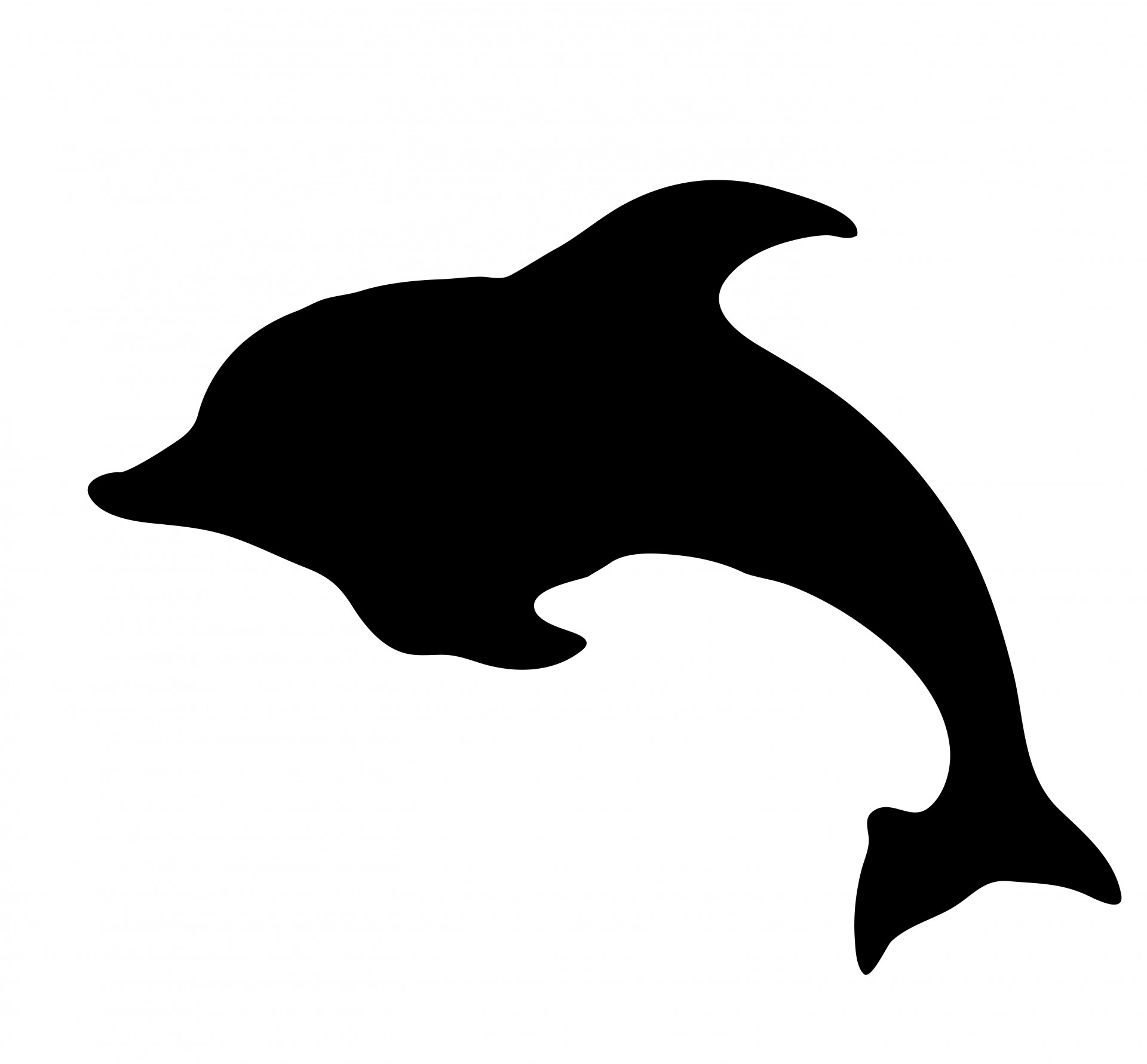 Dolphin Silhouette Clipart Free Stock Photo Hd   Public Domain    