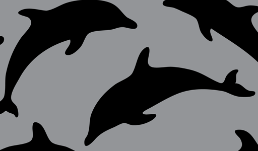 Dolphin Silhouettes  These Tropical Dolphin Clipart Illustrations Will