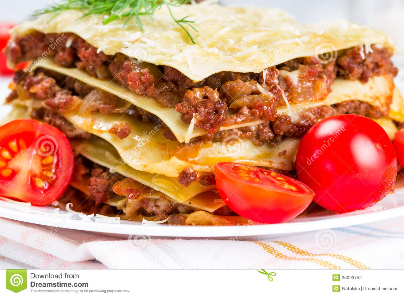Italian Dish Lasagna Stock Photography   Image  35093752