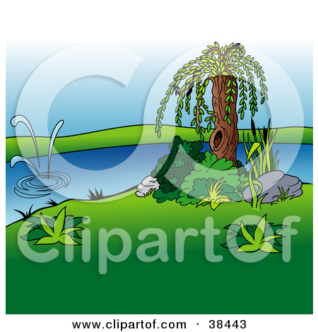 Royalty Free  Rf  Willow Tree Clipart Illustrations Vector Graphics