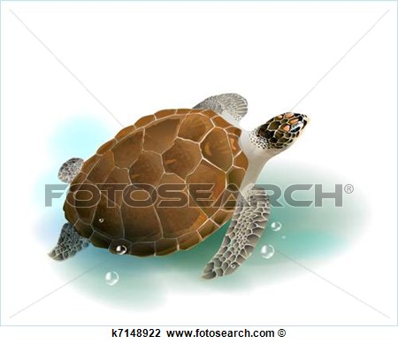 Clipart Of Sea Turtle Swimming In The Ocean K7148922   Search Clip Art