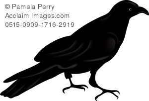 Crow Clip Art Black And White   Clipart Panda   Free Clipart Images