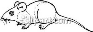Cute Black And White Rat   Royalty Free Clipart Picture