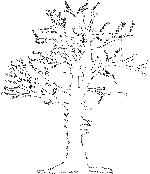 Dead Tree Silhouette   Http   Www Wpclipart Com Plants Trees Trees 6
