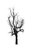 Dead Tree Silhouette Stock Vectors Illustrations   Clipart
