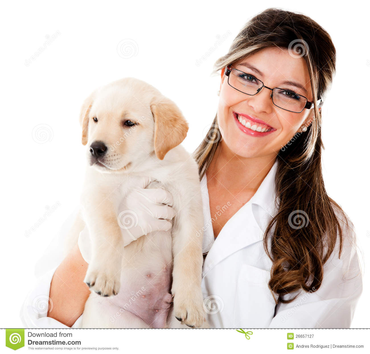 Displaying 18  Images For   Veterinarians With Animals Clipart