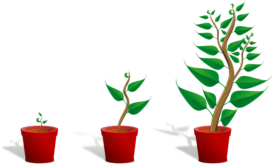 Growth Clipart Plant 002 Growing Vector Clipart Png