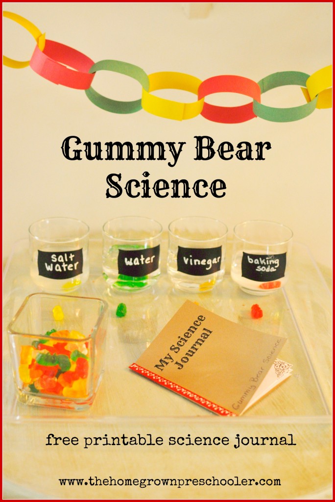 Science With Preschoolers    Building Thought Processes Early  The