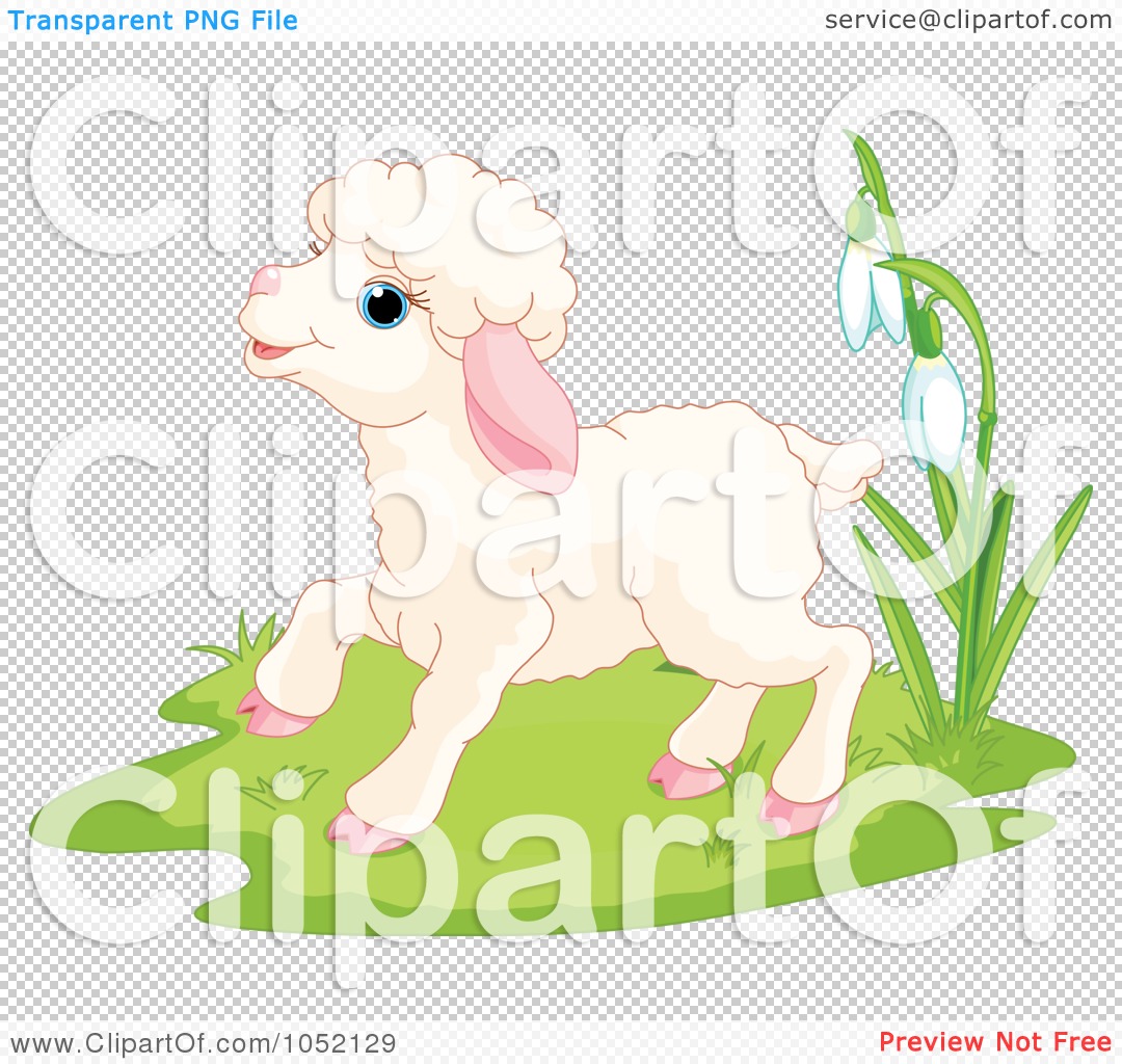 Spring Lamb Clipart