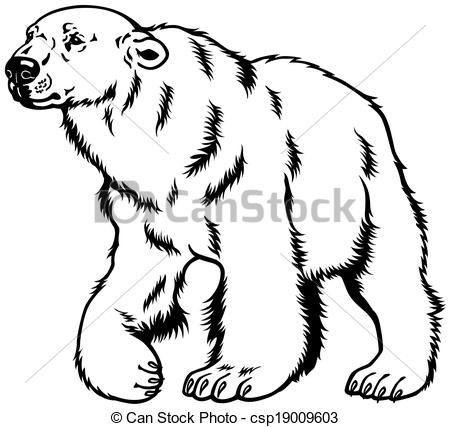 Vector Clipart Of Polar Bear Black White   Polar Bear Black And White