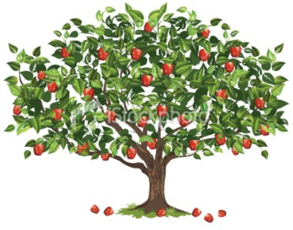 250 Botanical Medicinal  Bulk  Herbs Canada  Appletree Bulk Herbs