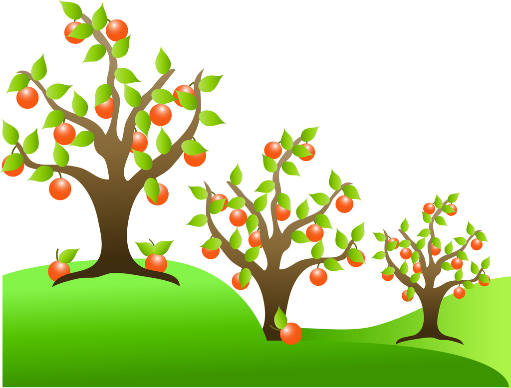 Clip Art Illustration Of Orange Trees In An Orchard   A Photo On