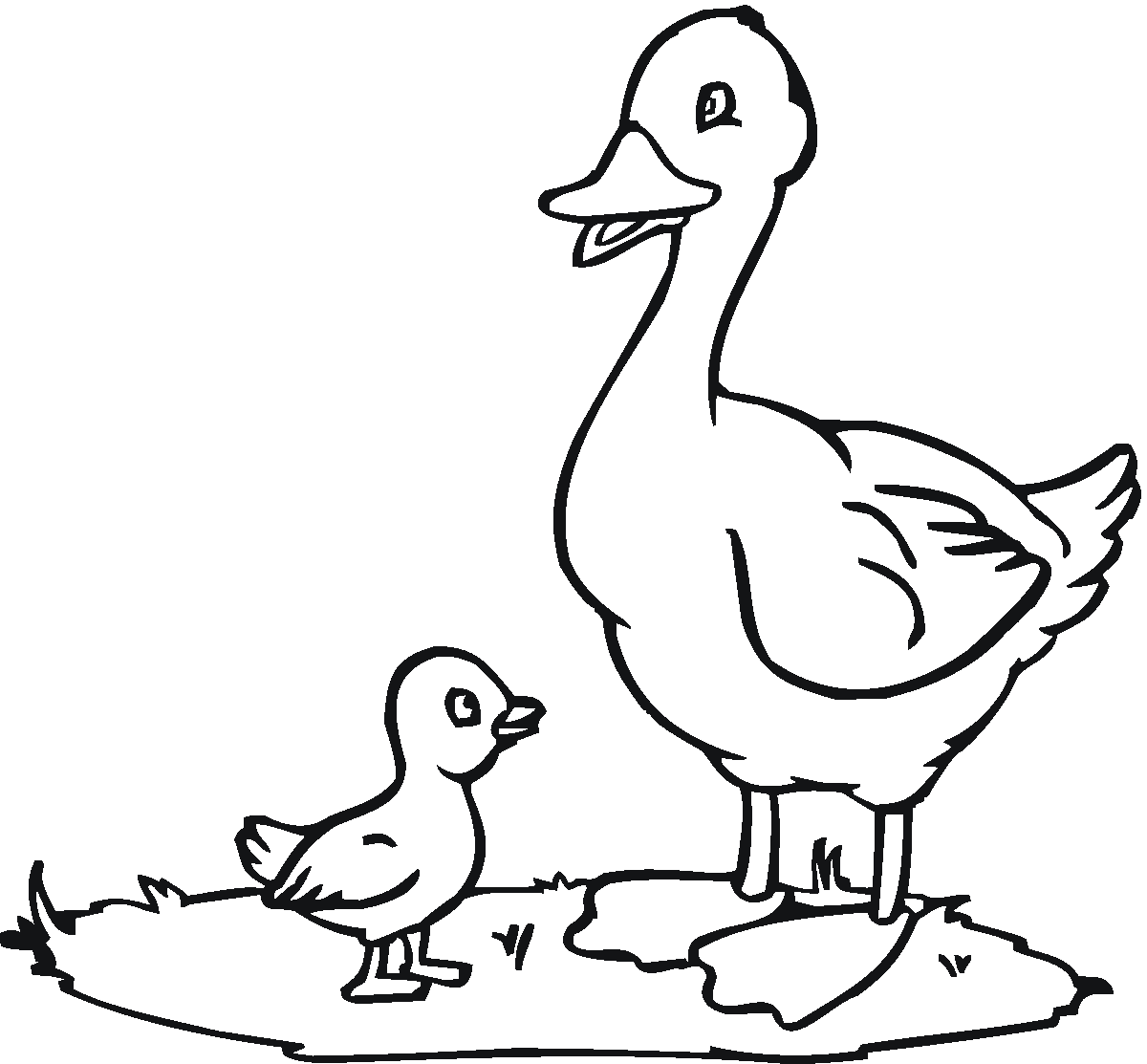 Duck Outline Printable   Clipart Best