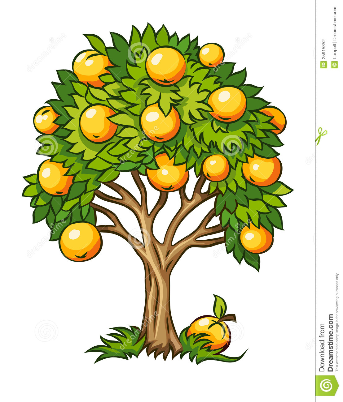 Fruit Tree Clipart Fruit Tree Isolated 25915852 Jpg