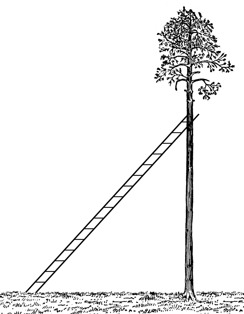 Ladder Leaning Against A Tree   Clipart Etc