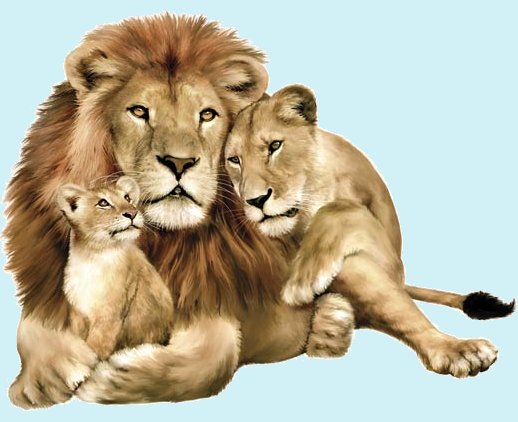 Lion Family Jungle Animals Peel And Stick Mural   Wall Sticker Outlet