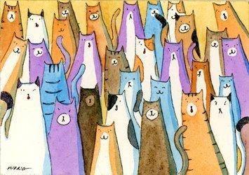 Lots Of Cats