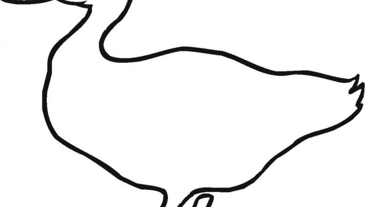Printable Duck Outline Coloring Pages Printable Duck Outline