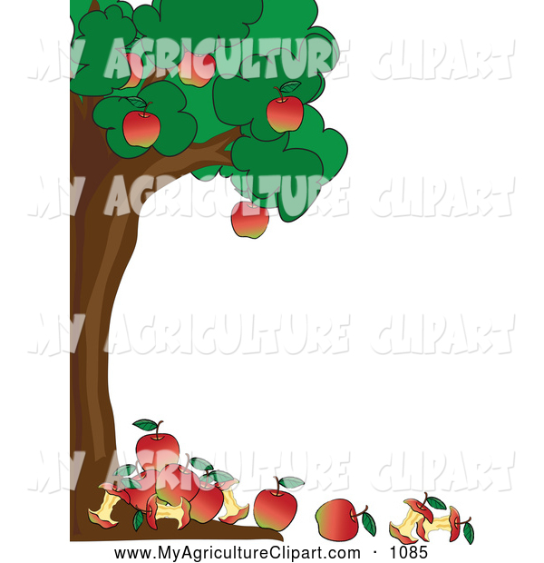 Vector Agriculture Clipart Of A Healthy Apple Tree Boder With Apples