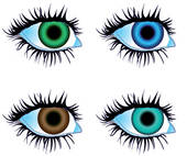 Eye Color Clipart And Stock Illustrations  7713 Eye Color Vector Eps