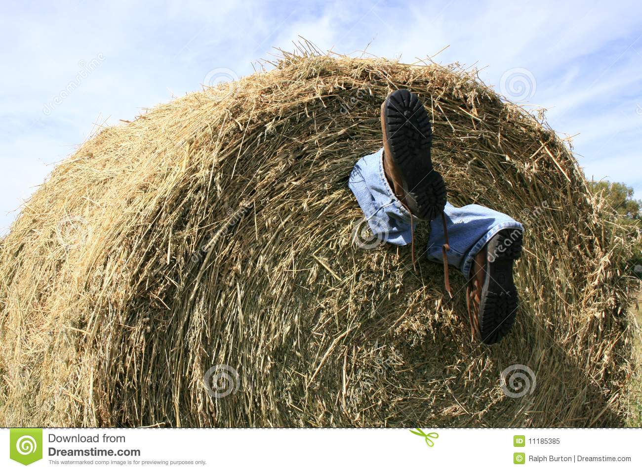 Farming Accident Royalty Free Stock Photo   Image  11185385