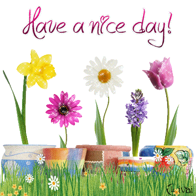 Have A Nice Day Glitters Good Day Quotes Graphics Nice Day Comments