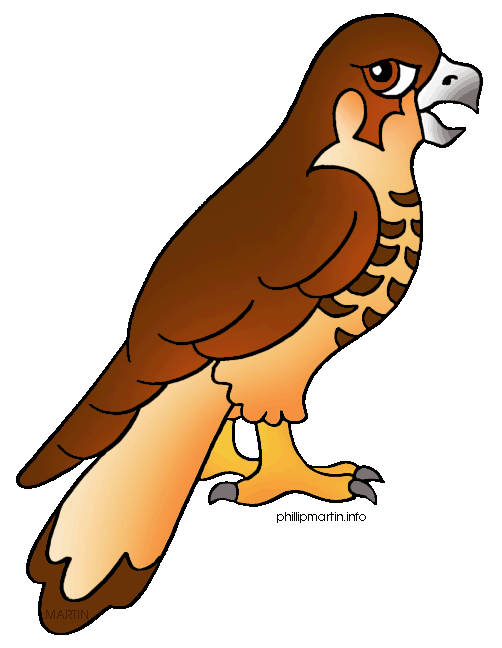 Hawk Clip Art Animal Hawk Gif