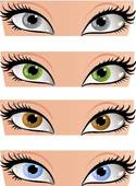 Hazel Eyes Clipart Female Color Eyes Look In The