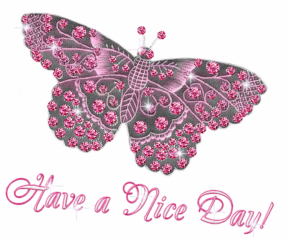 Nice Day Butterfly    Good Day    Myniceprofile Com