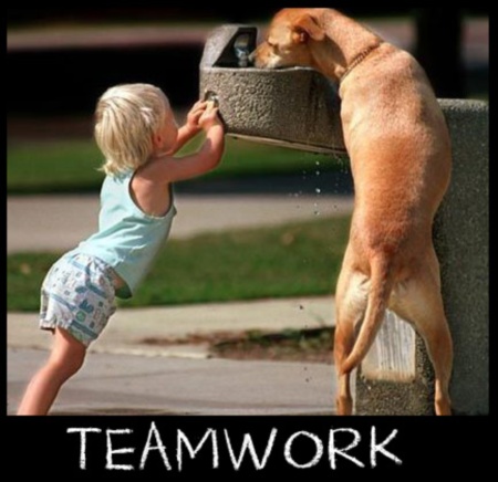 Teamwork Jpg