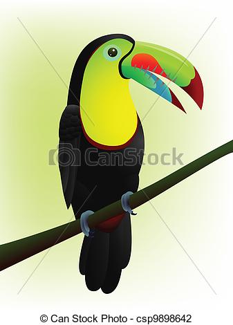 Bird   Vector Illustration Of Toucan Bird Csp9898642   Search Clipart