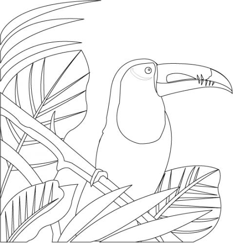 Clipartfort  Animals   Birds   Toucan