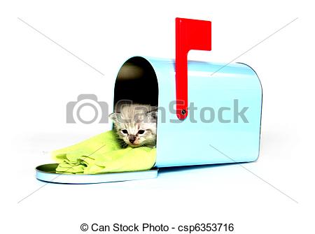 Cute Mailbox Clipart Cute Kitten Sitting In Mailbox