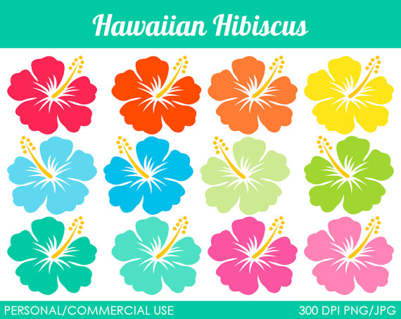 Hawaiian Hibiscus Clipart   Digital Clip Art Graphics For Personal Or    