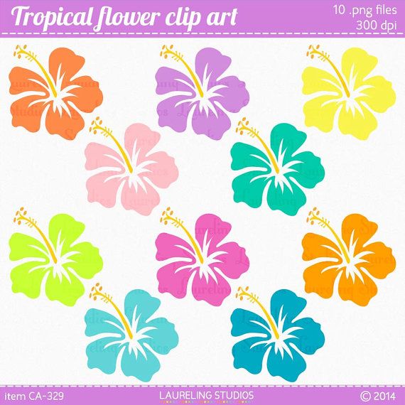 Hibiscus Clipart Flower Luau Clip Art In Tropical Colors  Png    