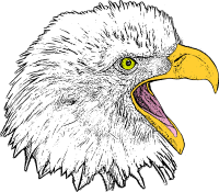     Clipart Thanksgiving Clipart Clip Artfree Clipart  Patriotic Eagle